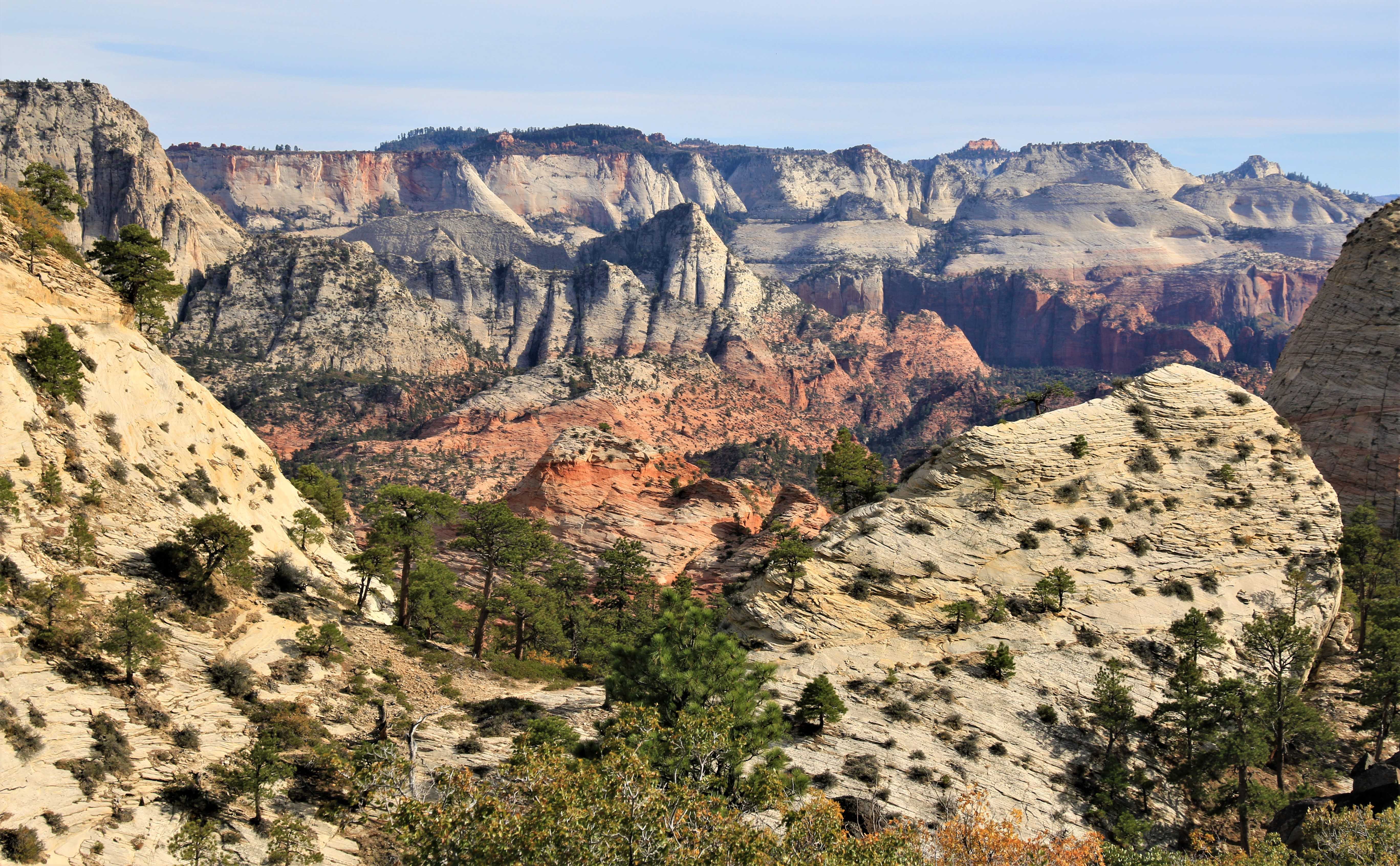 Zion NP
